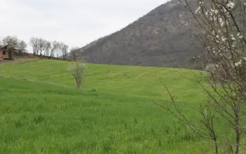 Auction image Farmland