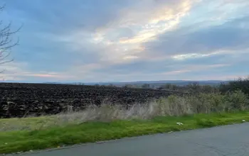 Auction image Farmland