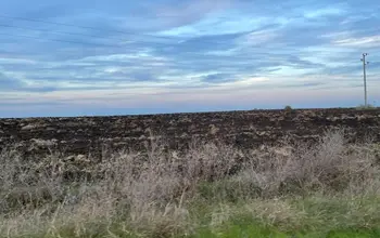 Auction image Farmland