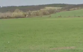 Auction image Farmland