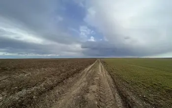 Auction image Farmland