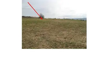 Auction image Farmland