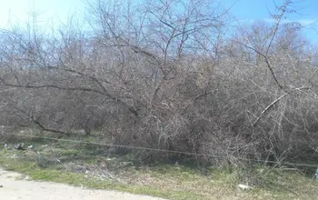 Auction image Land for building