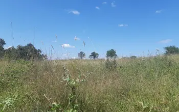 Auction image Farmland