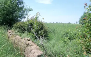 Auction image Land for building