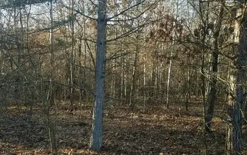 Auction image Land for building