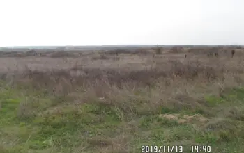Auction image Парцел (ПИ, УПИ, двор)