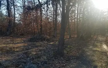 Auction image Land for building