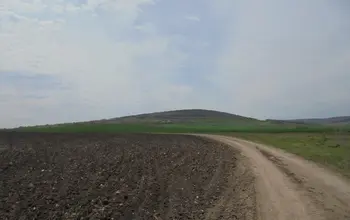 Auction image Farmland