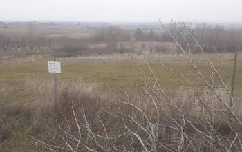 Auction image Farmland