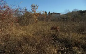 Auction image Land for building