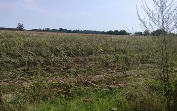 Auction image Farmland