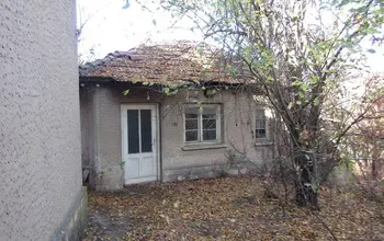 Auction image House