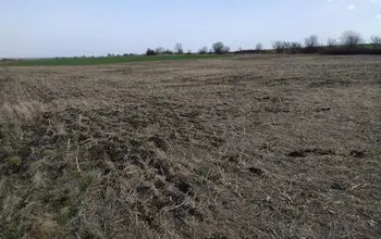 Auction image Farmland