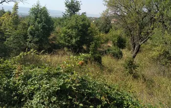 Auction image Land for building
