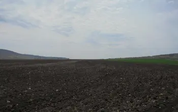 Auction image Farmland
