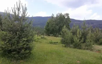 Auction image Парцел (ПИ, УПИ, двор)