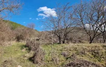 Auction image Land for building