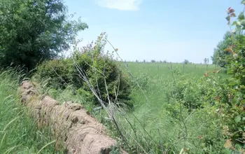 Auction image Land for building