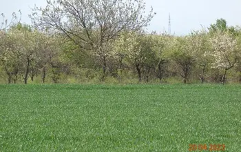Auction image Farmland
