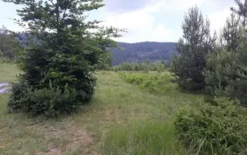 Auction image Land for building