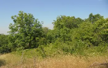 Auction image Land for building