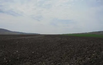 Auction image Farmland