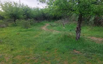 Auction image Farmland