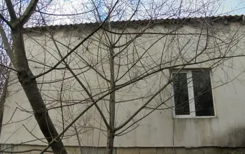Auction image House
