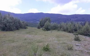 Auction image Land for building