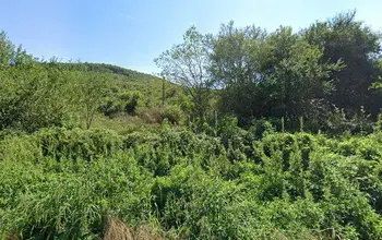 Auction image Land for building