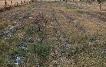 Auction image Farmland