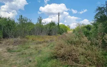 Auction image Farmland