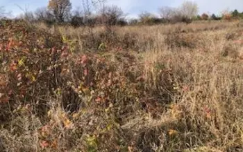 Auction image Land for building