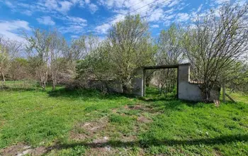 Auction image House