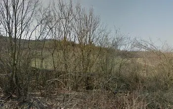 Auction image Farmland