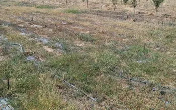 Auction image Farmland