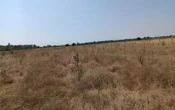 Auction image Farmland