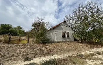 Auction image House