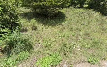 Auction image Farmland