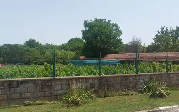 Auction image Land for building