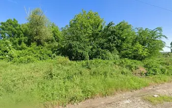Auction image Farmland