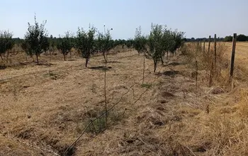 Auction image Farmland