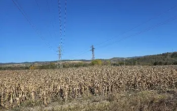 Auction image Farmland