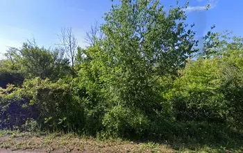 Auction image Земеделска земя/имот, ферма, парник/оранжерия