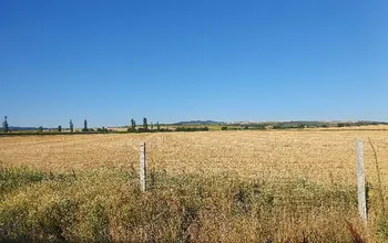 Auction image Farmland