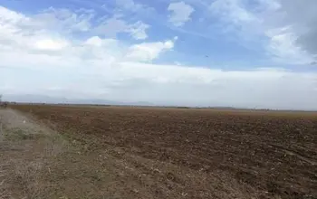 Auction image Farmland