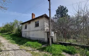 Auction image House