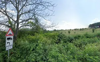 Auction image Farmland