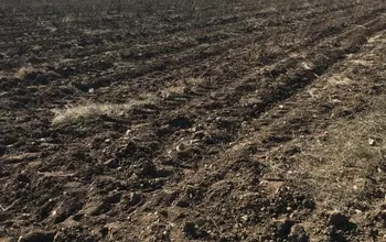 Auction image Farmland